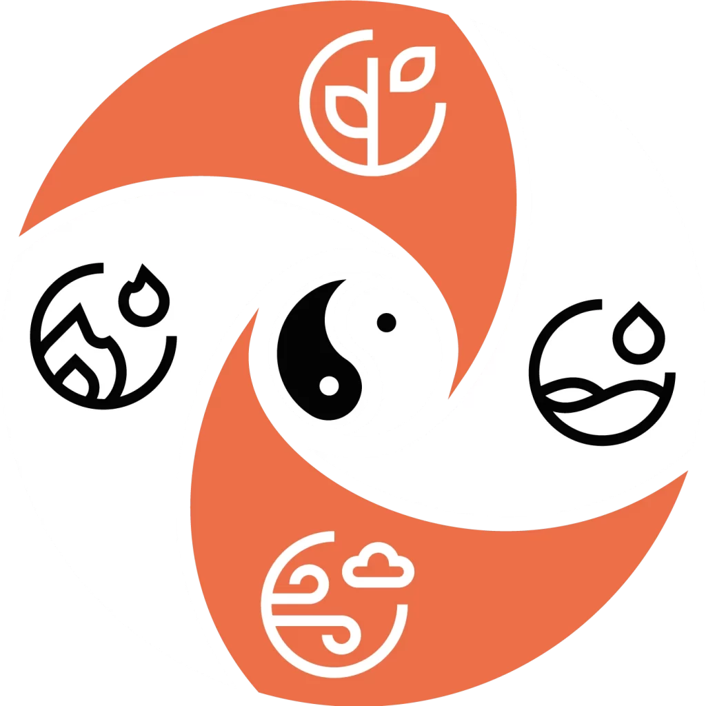 wing chun evolution academy massa logo tondo
