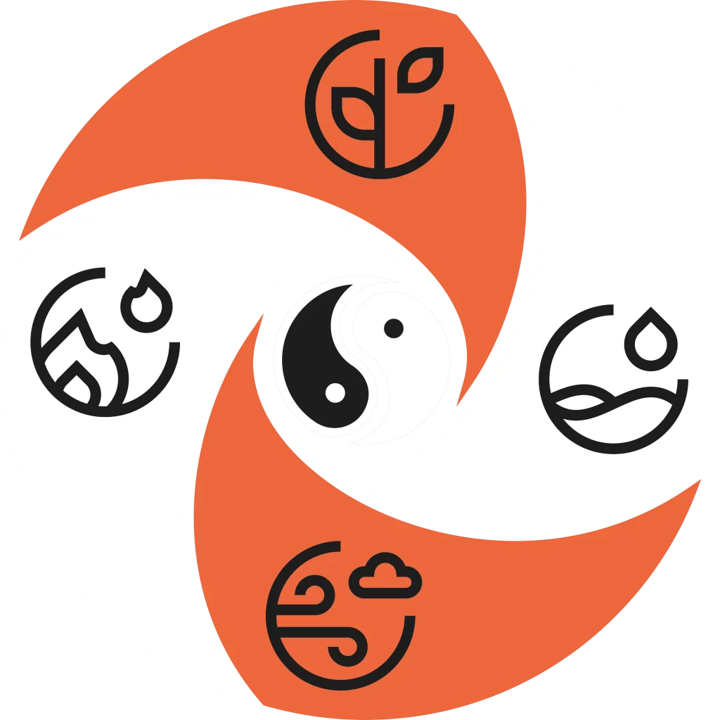 wing chun evolution academy massa kung fu arti marziali chi siamo logo